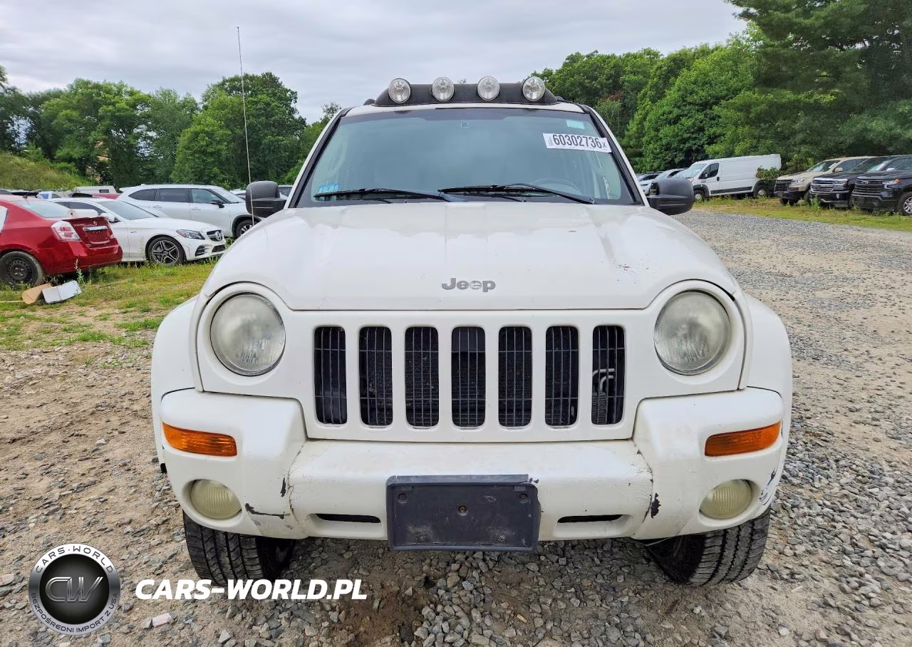 2003 Jeep Liberty Limited VIN:1J4GL58K83W604500 - 5