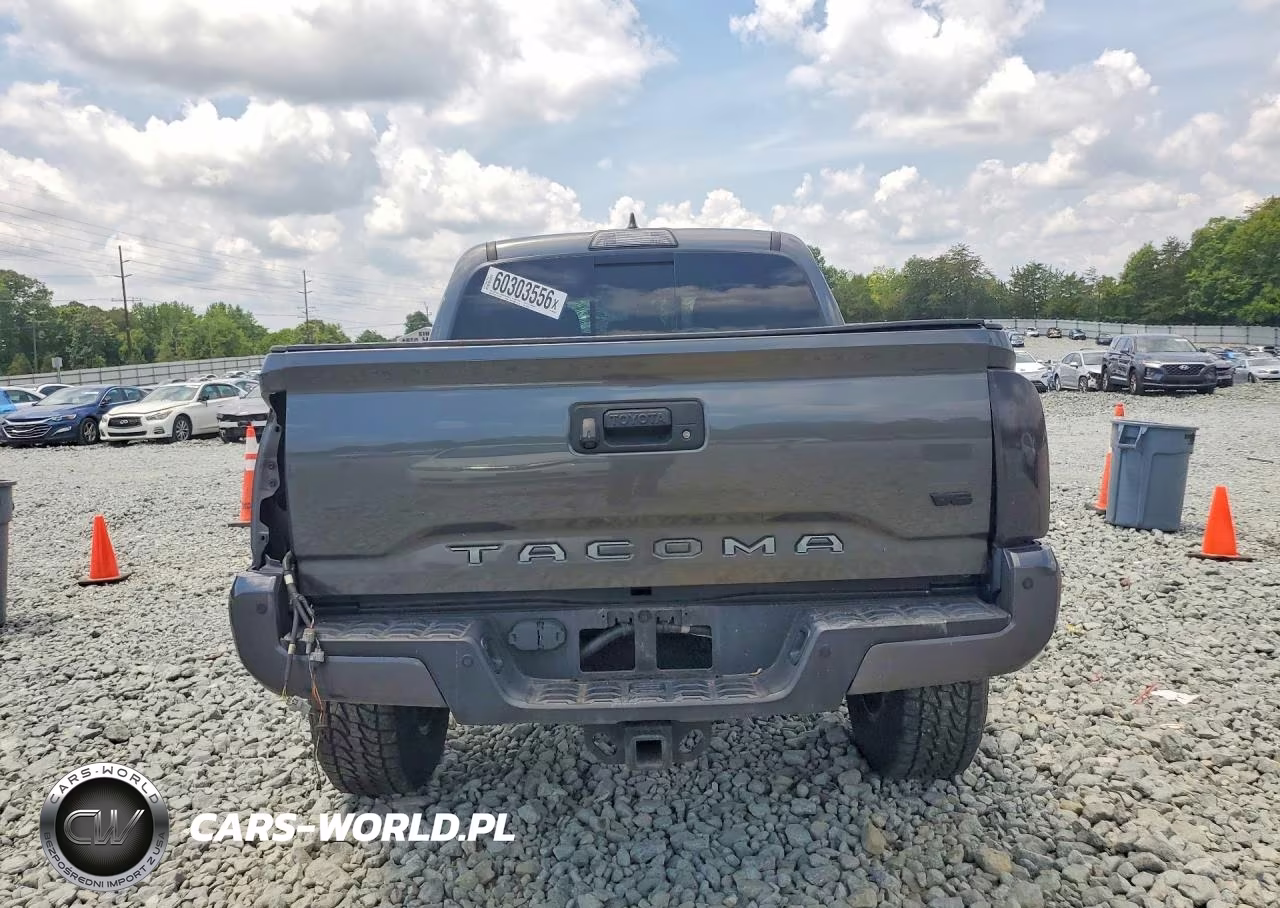2019 Toyota Tacoma Trd Off-Road VIN:3TMCZ5AN4KM268141 - 6
