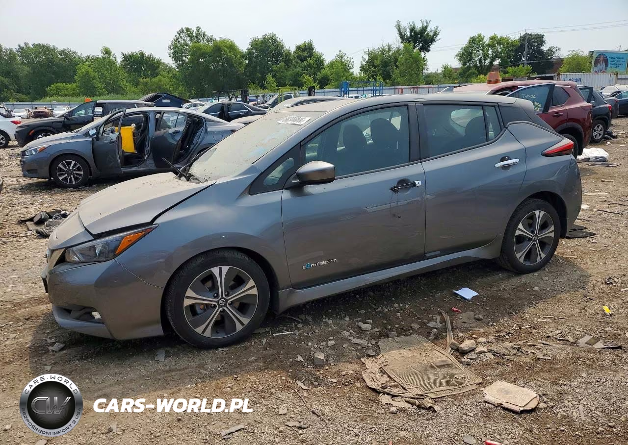 2019 Nissan Leaf Sv VIN:1N4AZ1CP4KC306442 - 1