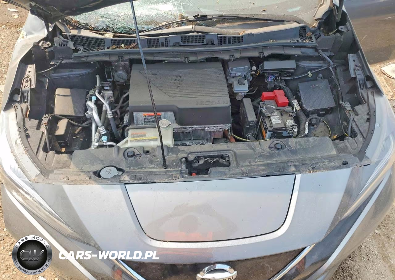 2019 Nissan Leaf Sv VIN:1N4AZ1CP4KC306442 - 11