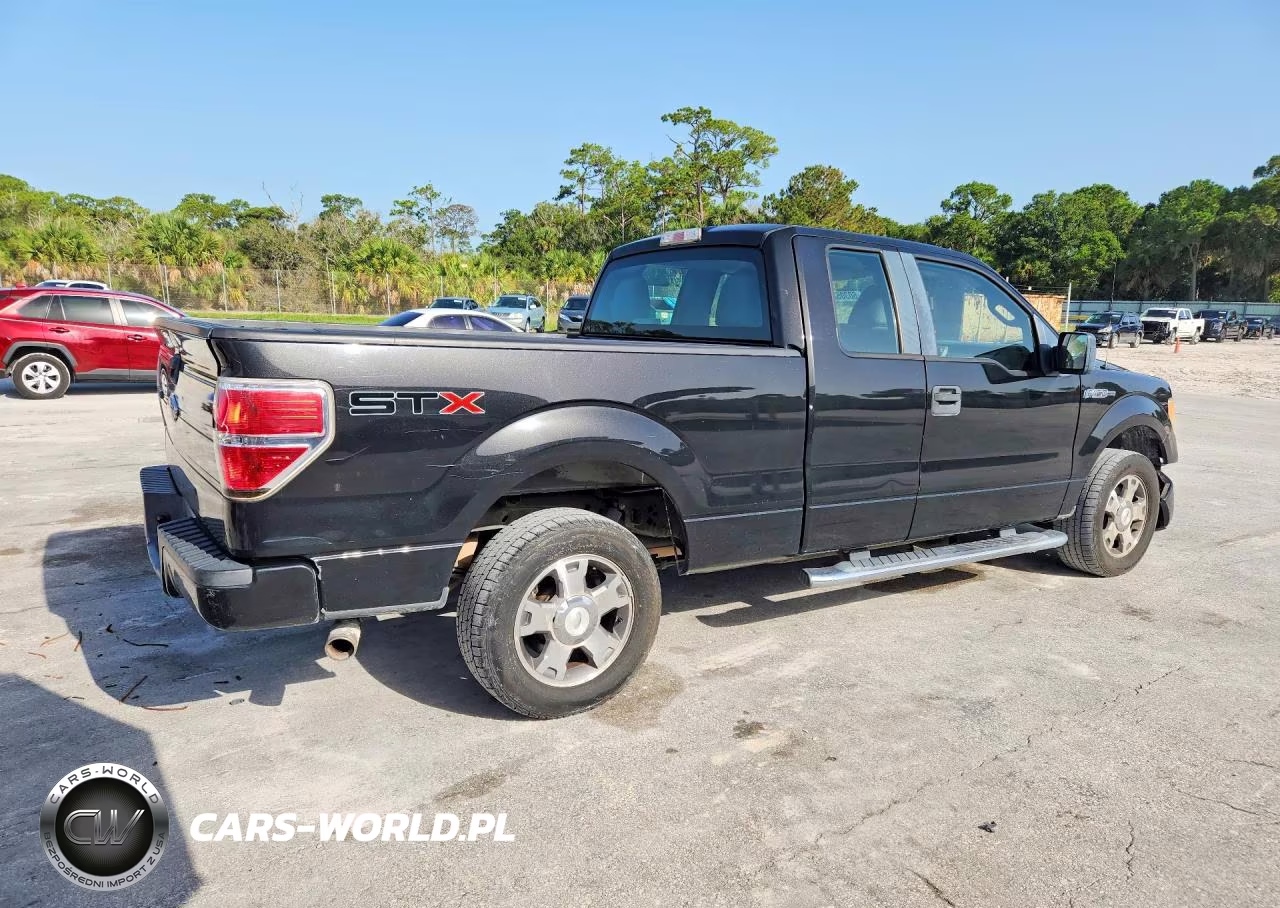 2010 Ford F150 Super Cab VIN:1FTEX1CW9AFD62544 - 3