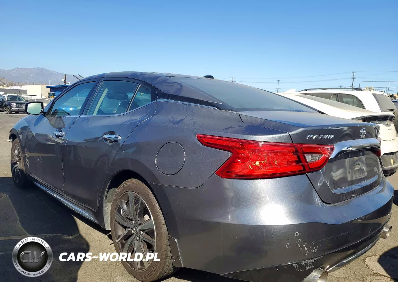 2018 Nissan Maxima Platinum VIN:1N4AA6AP4JC393829 - 2