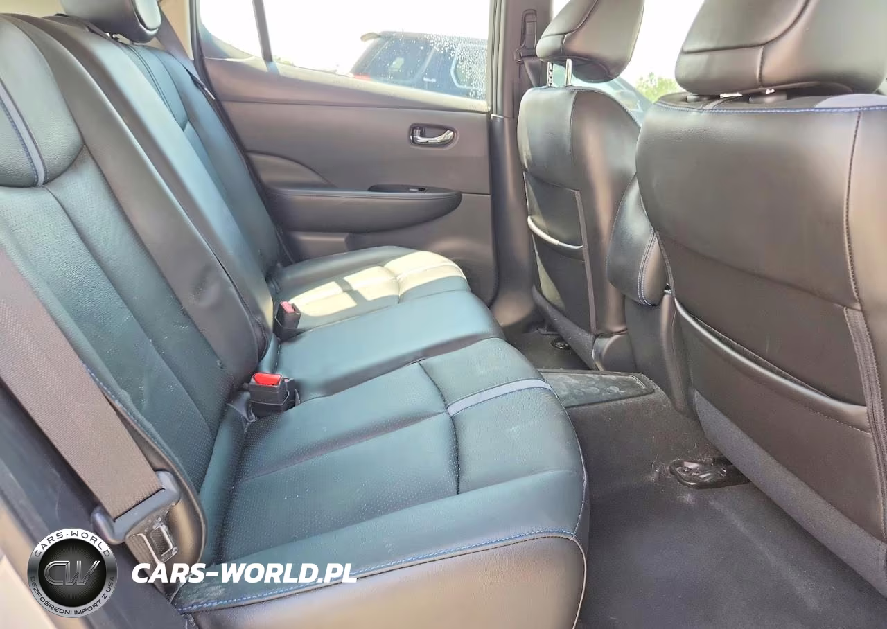 2019 Nissan Leaf Sl VIN:1N4AZ1CP6KC300495 - 10
