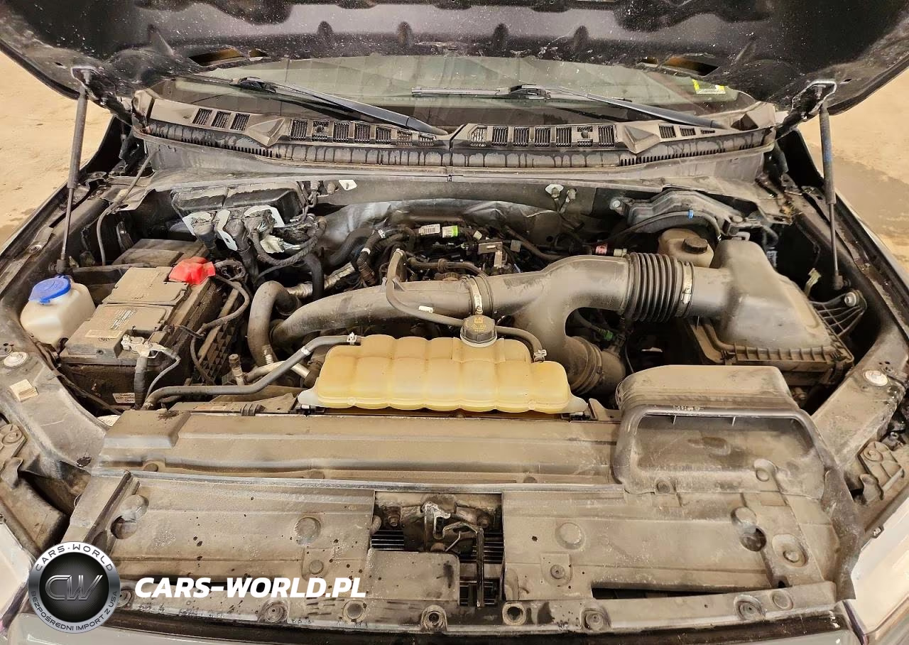 2020 Ford F150 Supercrew VIN:1FTEW1EP9LFB83299 - 11