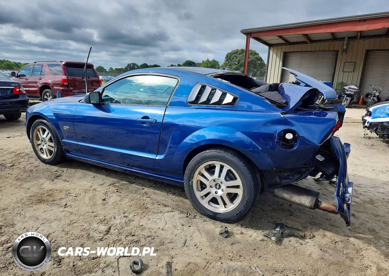 2006 Ford Mustang Gt VIN:1ZVHT82H765165287 - 2