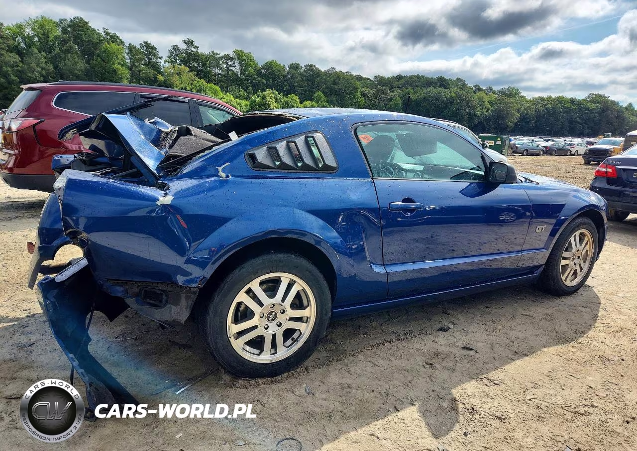 2006 Ford Mustang Gt VIN:1ZVHT82H765165287 - 3