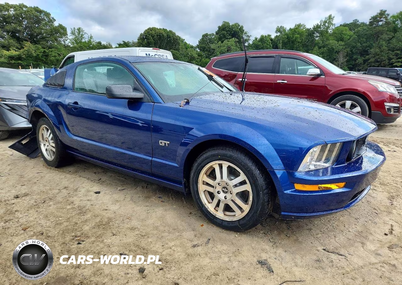 2006 Ford Mustang Gt VIN:1ZVHT82H765165287 - 4