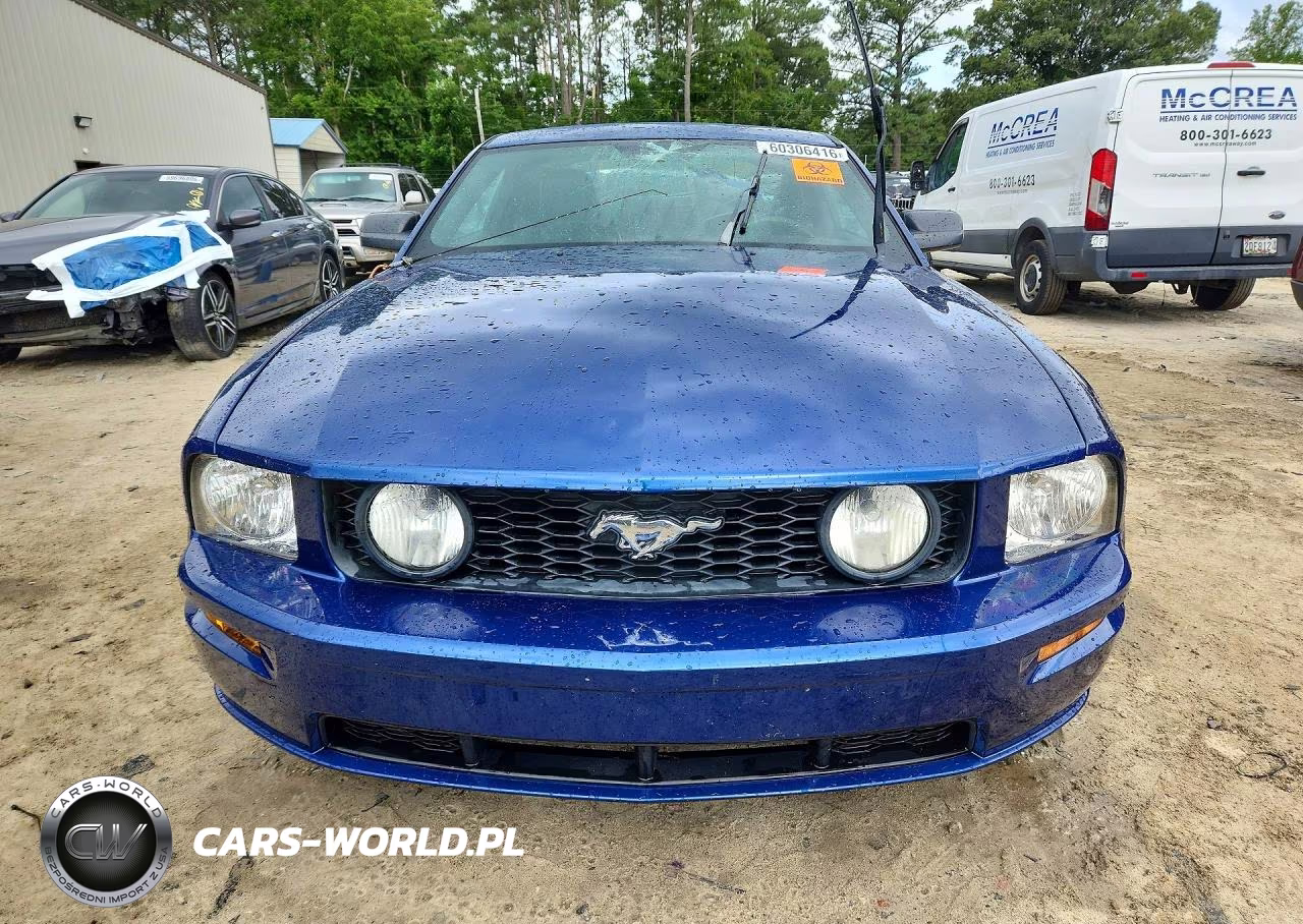 2006 Ford Mustang Gt VIN:1ZVHT82H765165287 - 5
