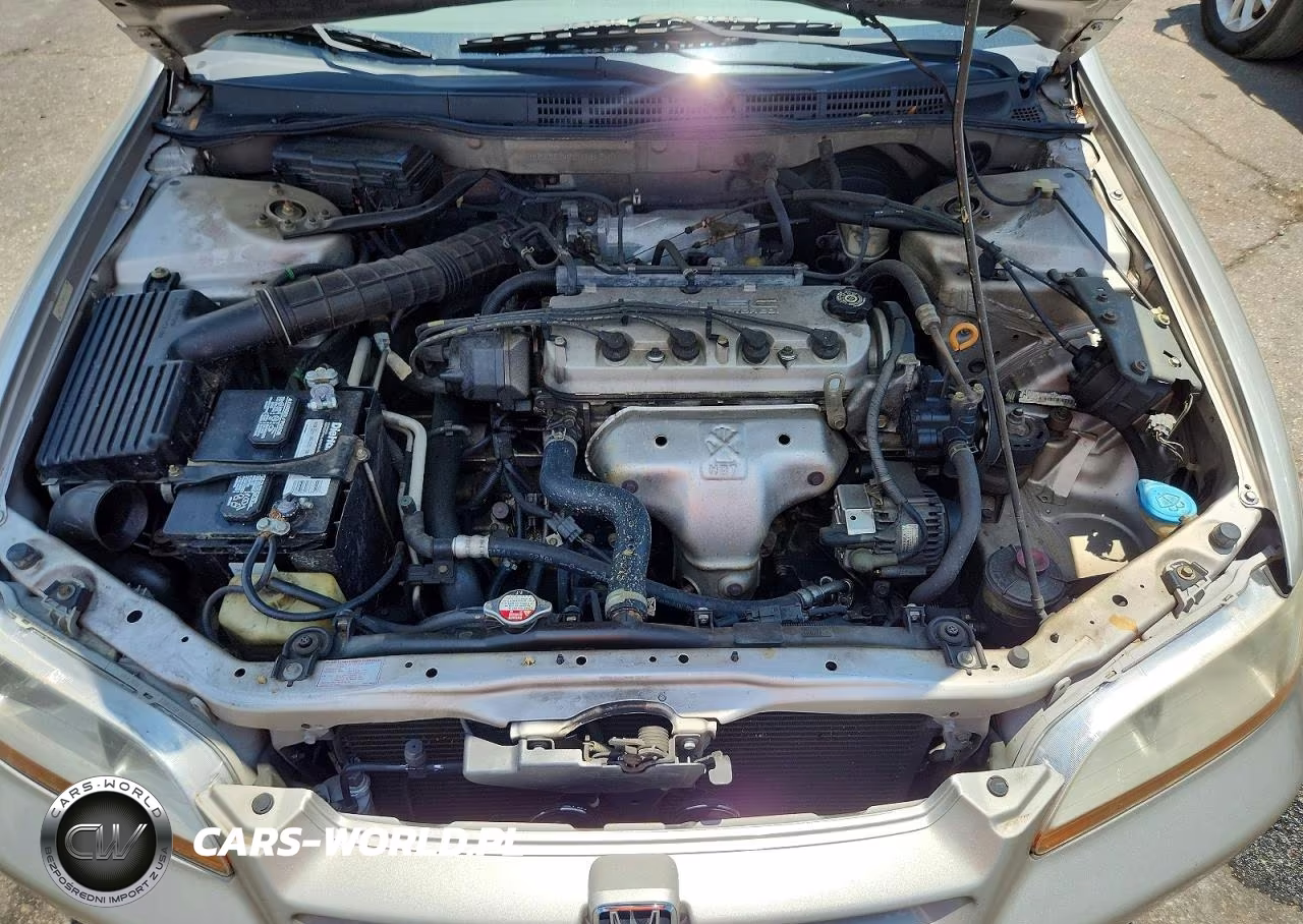 1999 Honda Accord Lx VIN:1HGCG5647XA084517 - 11