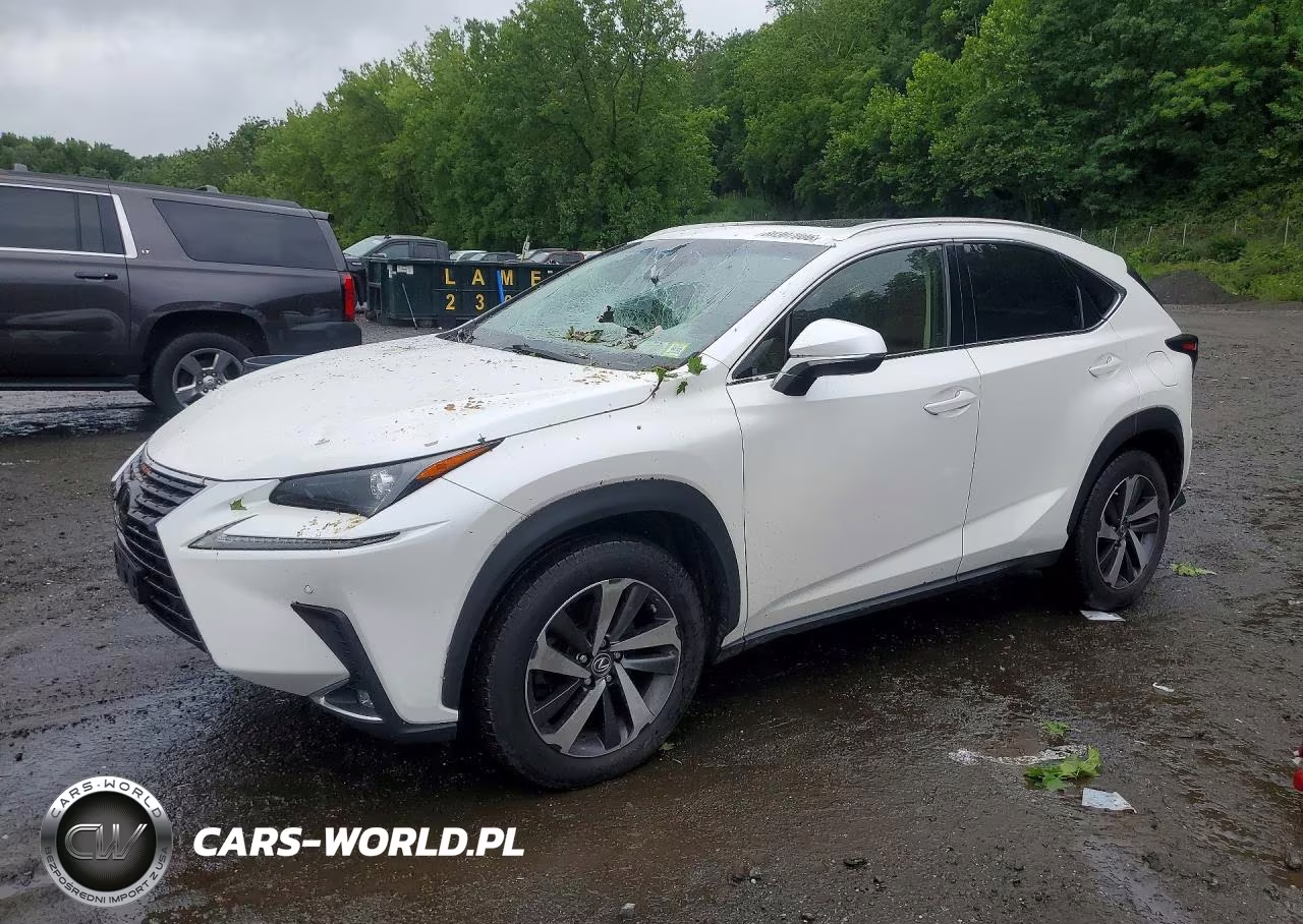 2018 Lexus Nx 300 Base VIN:JTJBARBZ2J2178548 - 1