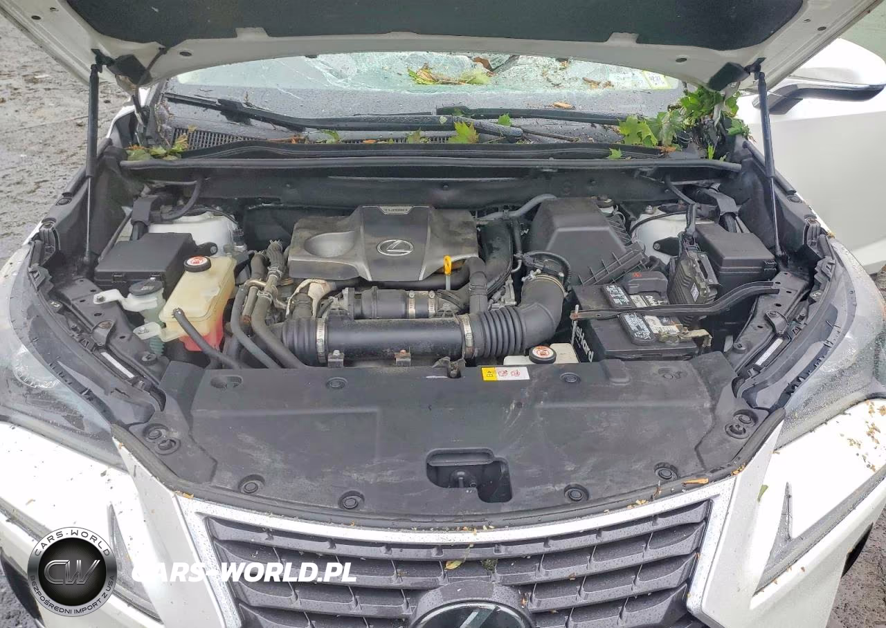 2018 Lexus Nx 300 Base VIN:JTJBARBZ2J2178548 - 12