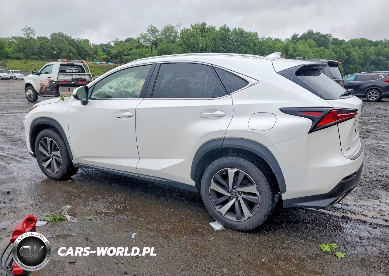 2018 Lexus Nx 300 Base VIN:JTJBARBZ2J2178548 - 2