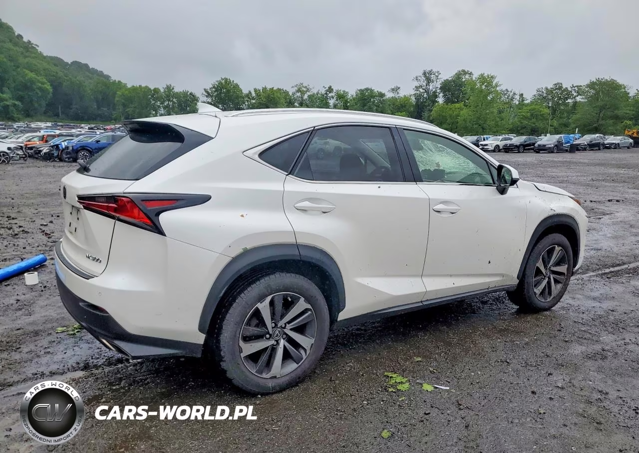 2018 Lexus Nx 300 Base VIN:JTJBARBZ2J2178548 - 3