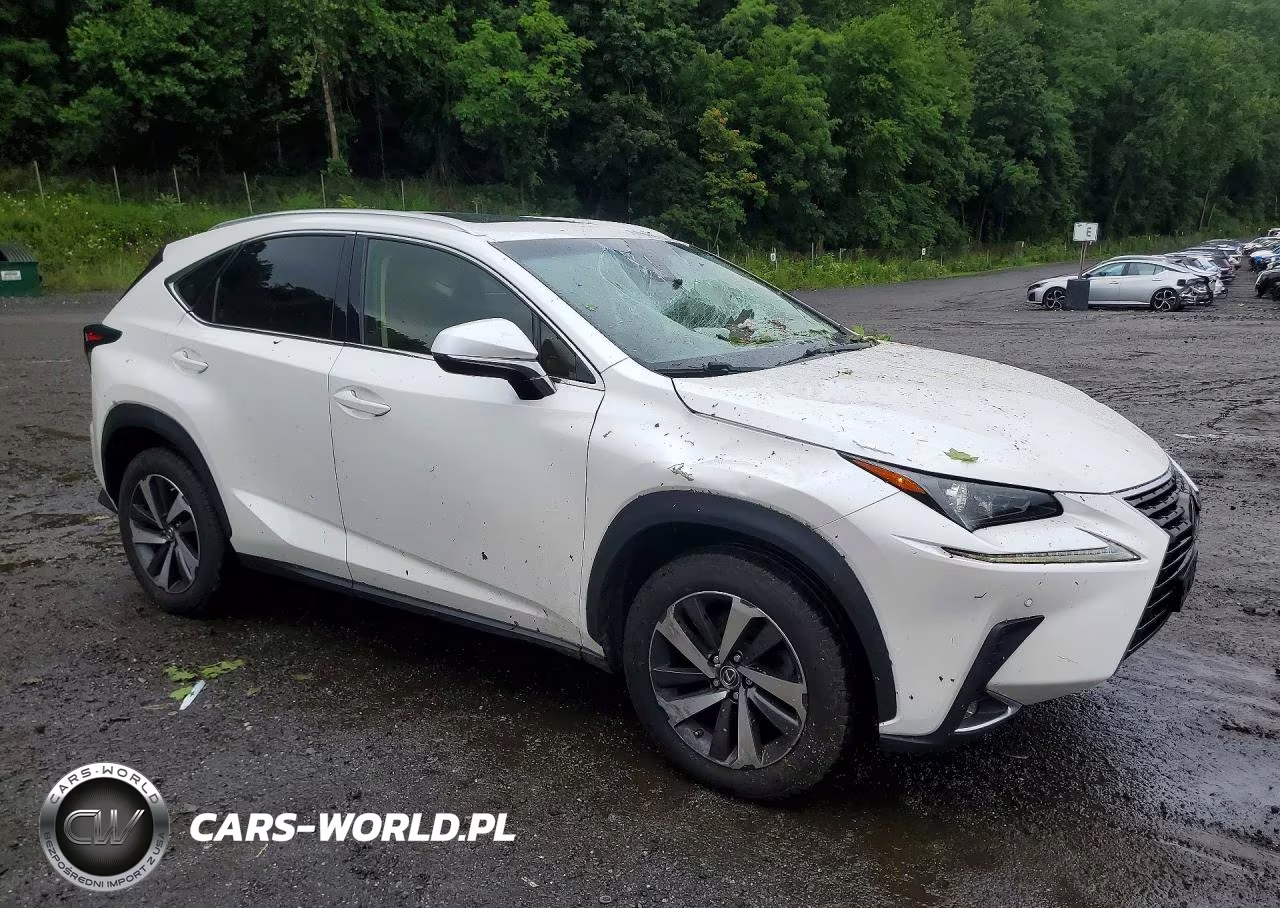 2018 Lexus Nx 300 Base VIN:JTJBARBZ2J2178548 - 4