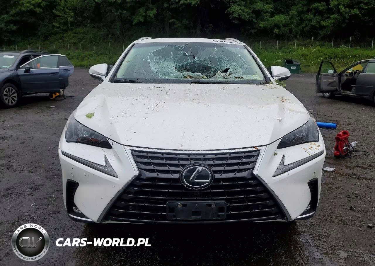 2018 Lexus Nx 300 Base VIN:JTJBARBZ2J2178548 - 5