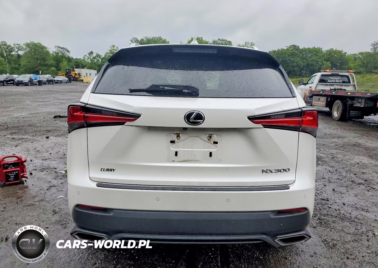 2018 Lexus Nx 300 Base VIN:JTJBARBZ2J2178548 - 6
