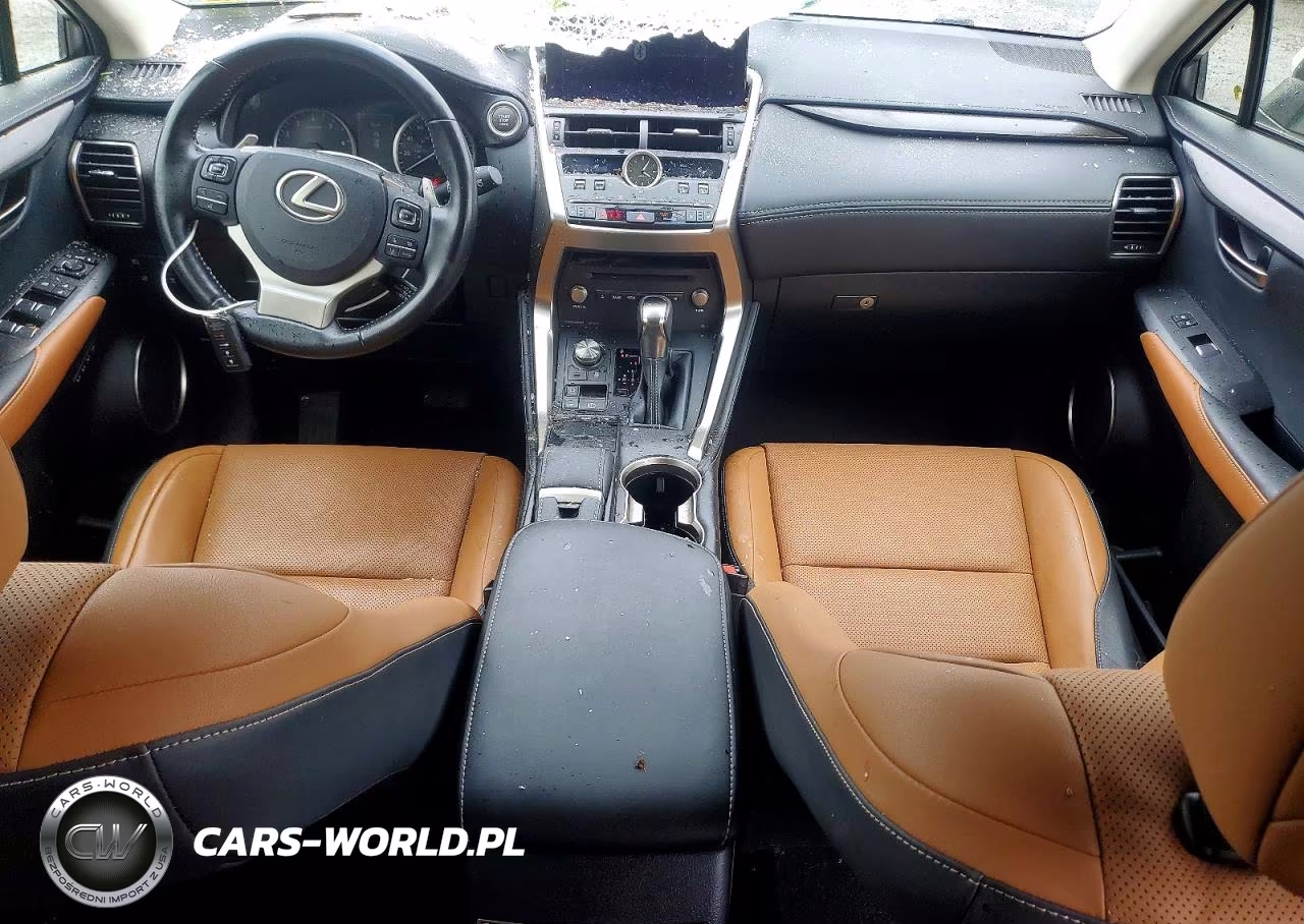 2018 Lexus Nx 300 Base VIN:JTJBARBZ2J2178548 - 8