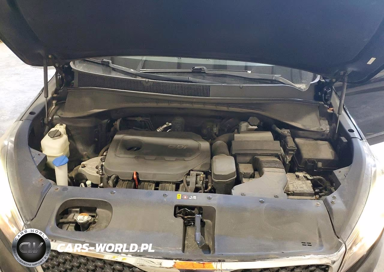 2016 Kia Sorento Lx VIN:5XYPGDA32GG080495 - 12