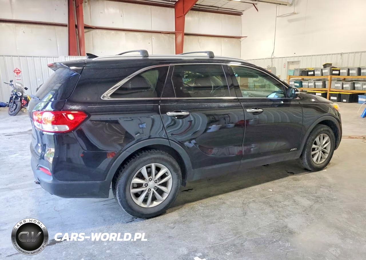 2016 Kia Sorento Lx VIN:5XYPGDA32GG080495 - 3