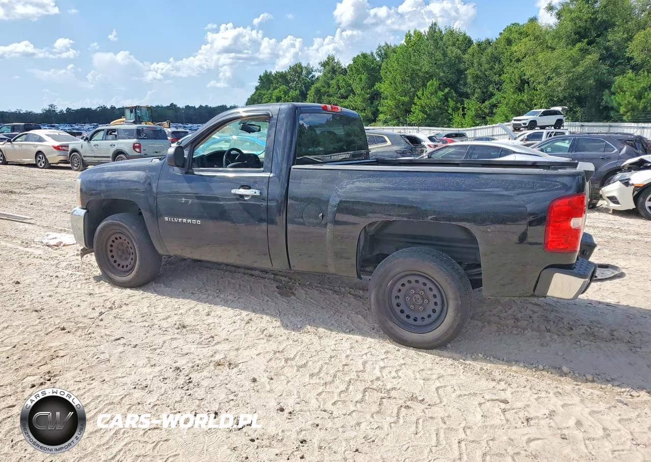 2012 Chevrolet Silverado C1500 VIN:1GCNCPEA8CZ301381 - 2
