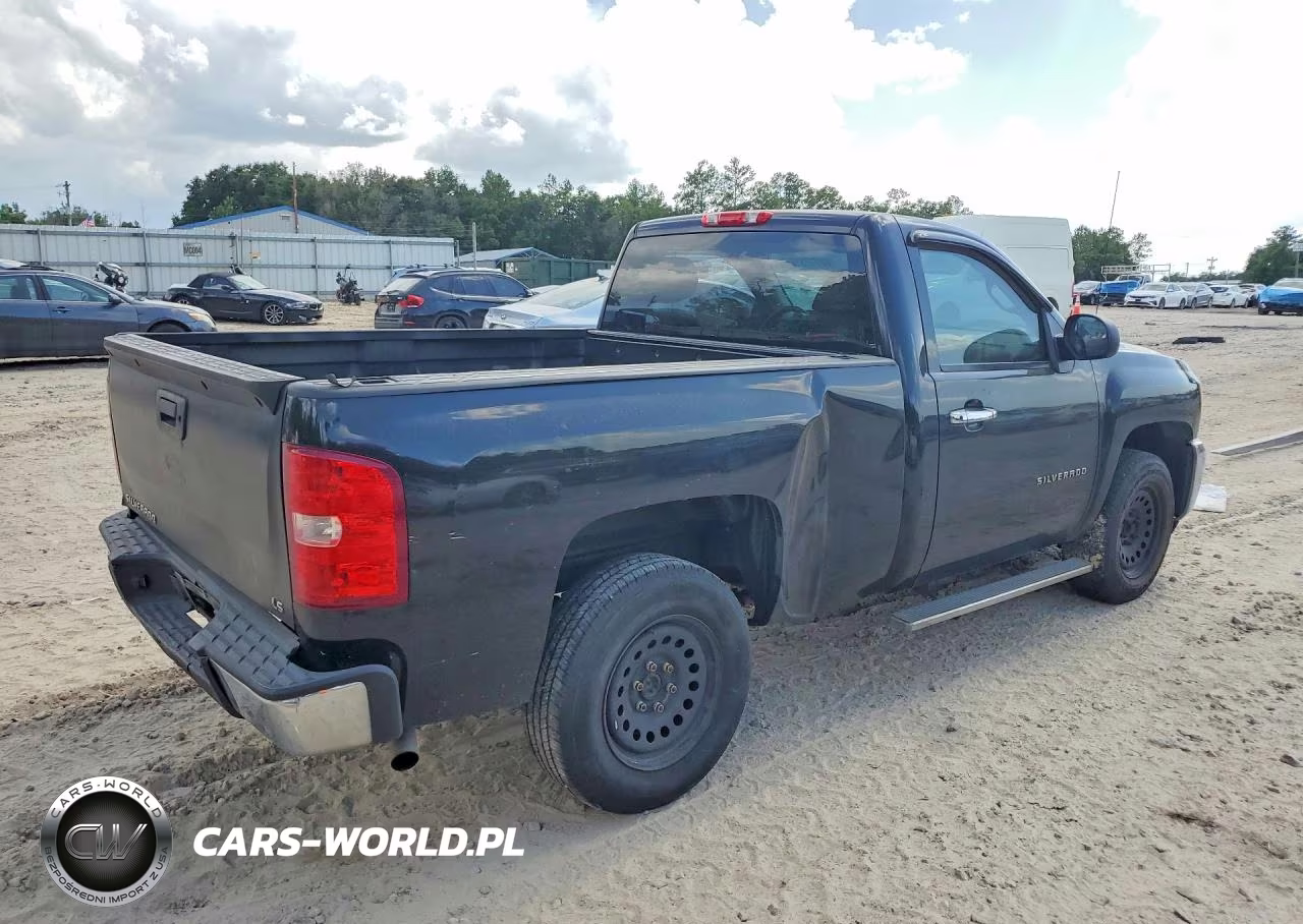 2012 Chevrolet Silverado C1500 VIN:1GCNCPEA8CZ301381 - 3