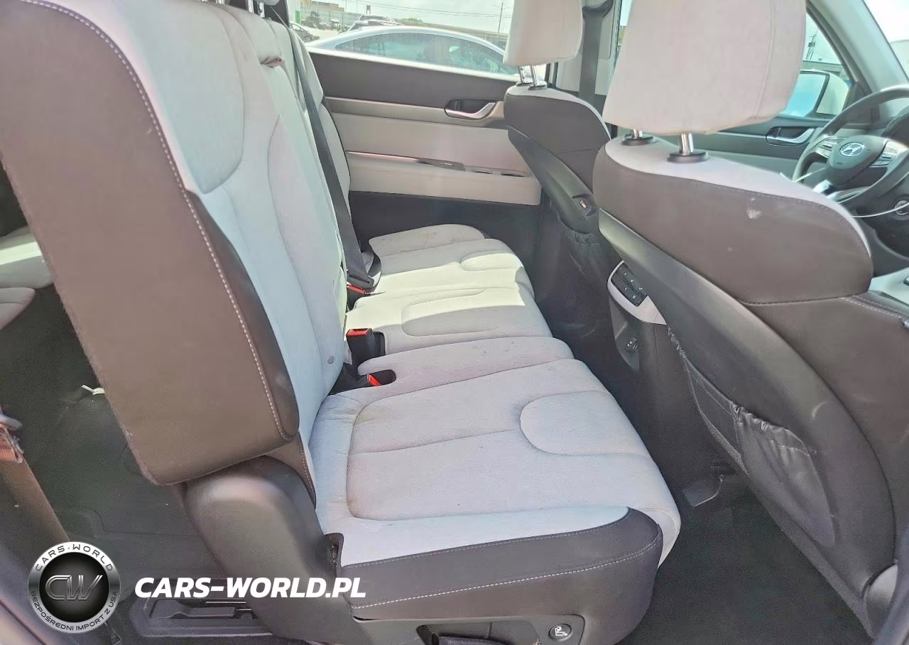 2021 Hyundai Palisade Se VIN:KM8R1DHE9MU202986 - 10