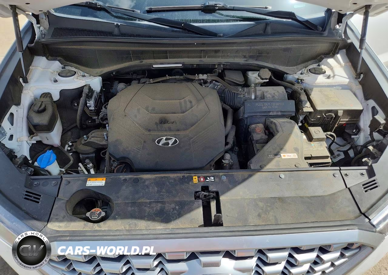 2021 Hyundai Palisade Se VIN:KM8R1DHE9MU202986 - 11