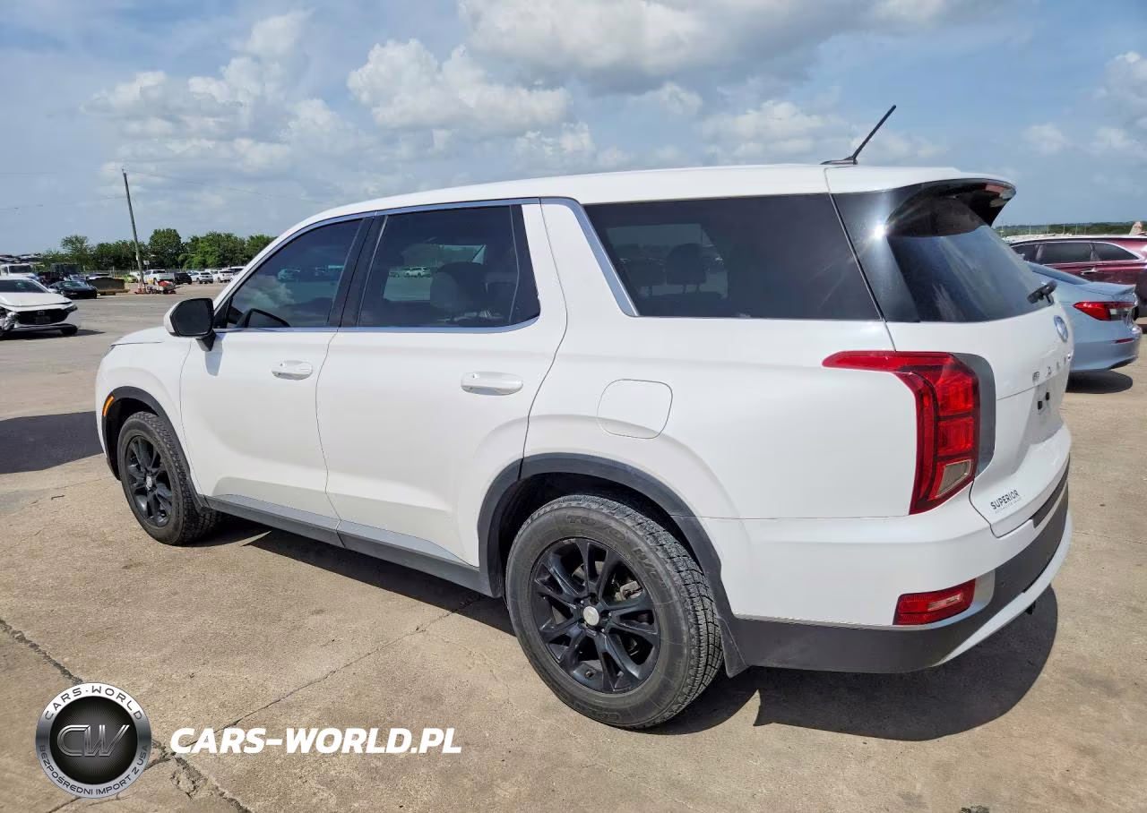 2021 Hyundai Palisade Se VIN:KM8R1DHE9MU202986 - 2