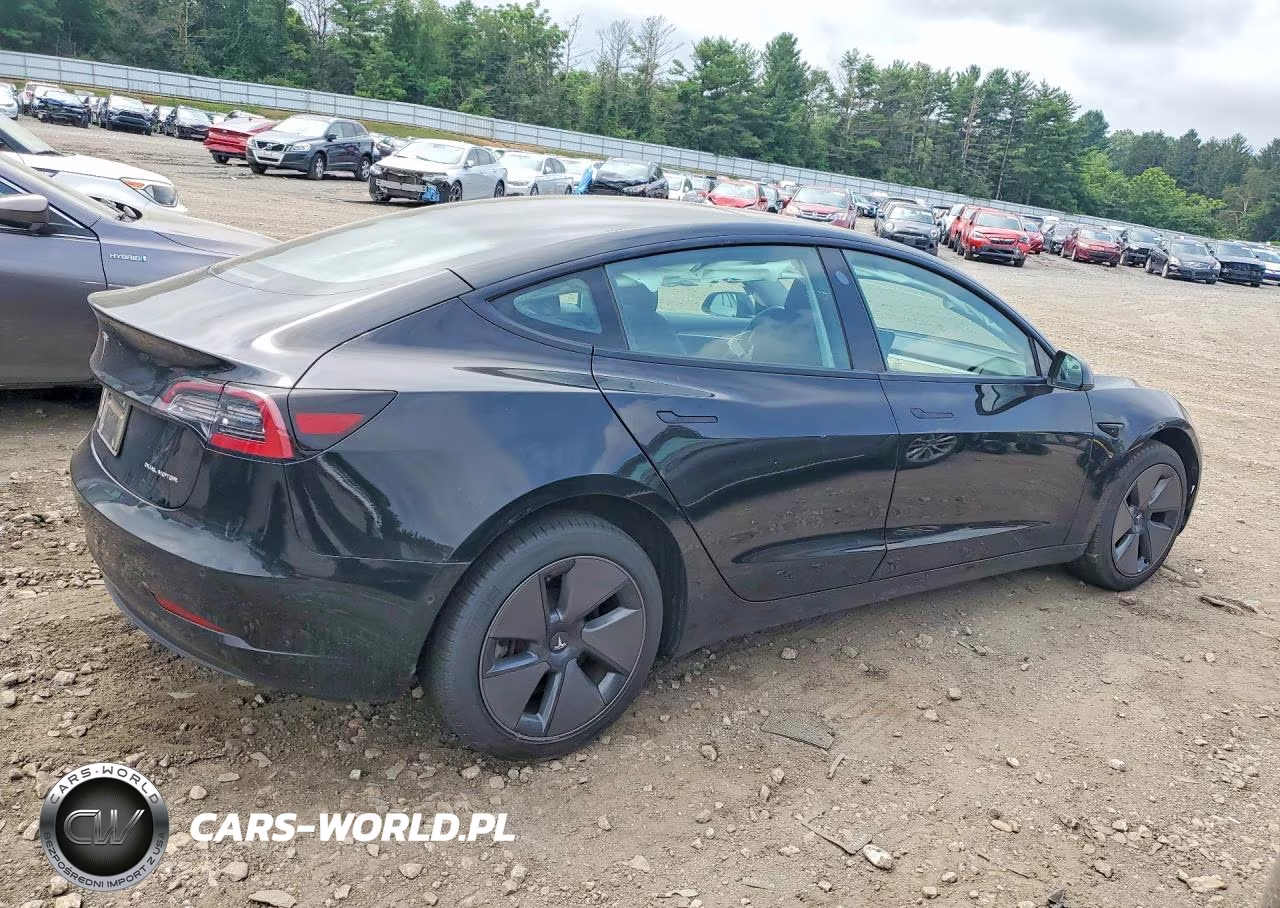 2021 Tesla Model 3 VIN:5YJ3E1EB1MF979484 - 3