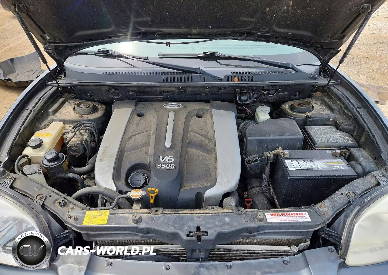 2004 Hyundai Santa Fe Gls VIN:KM8SC73E94U585879 - 11