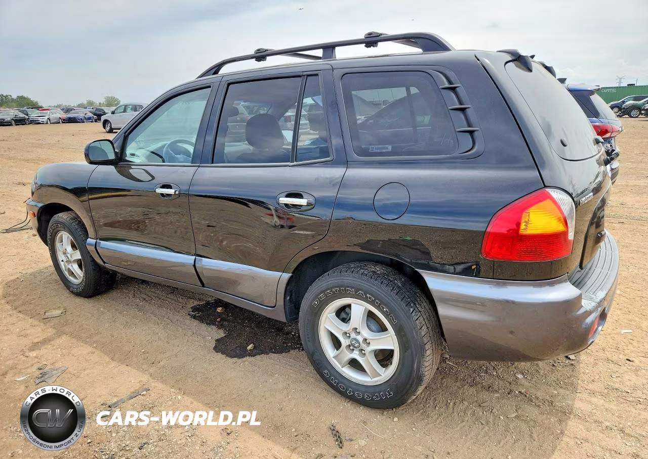 2004 Hyundai Santa Fe Gls VIN:KM8SC73E94U585879 - 2