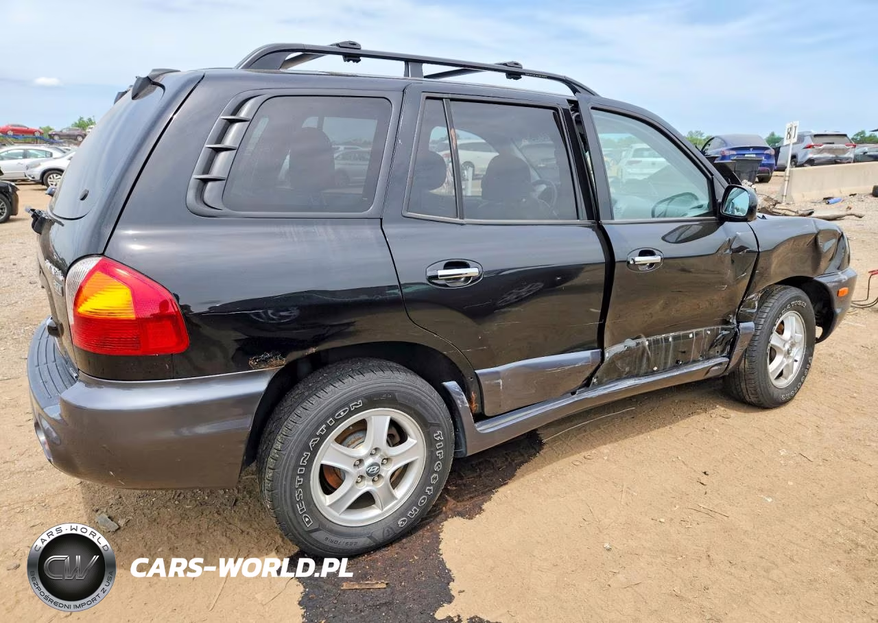 2004 Hyundai Santa Fe Gls VIN:KM8SC73E94U585879 - 3