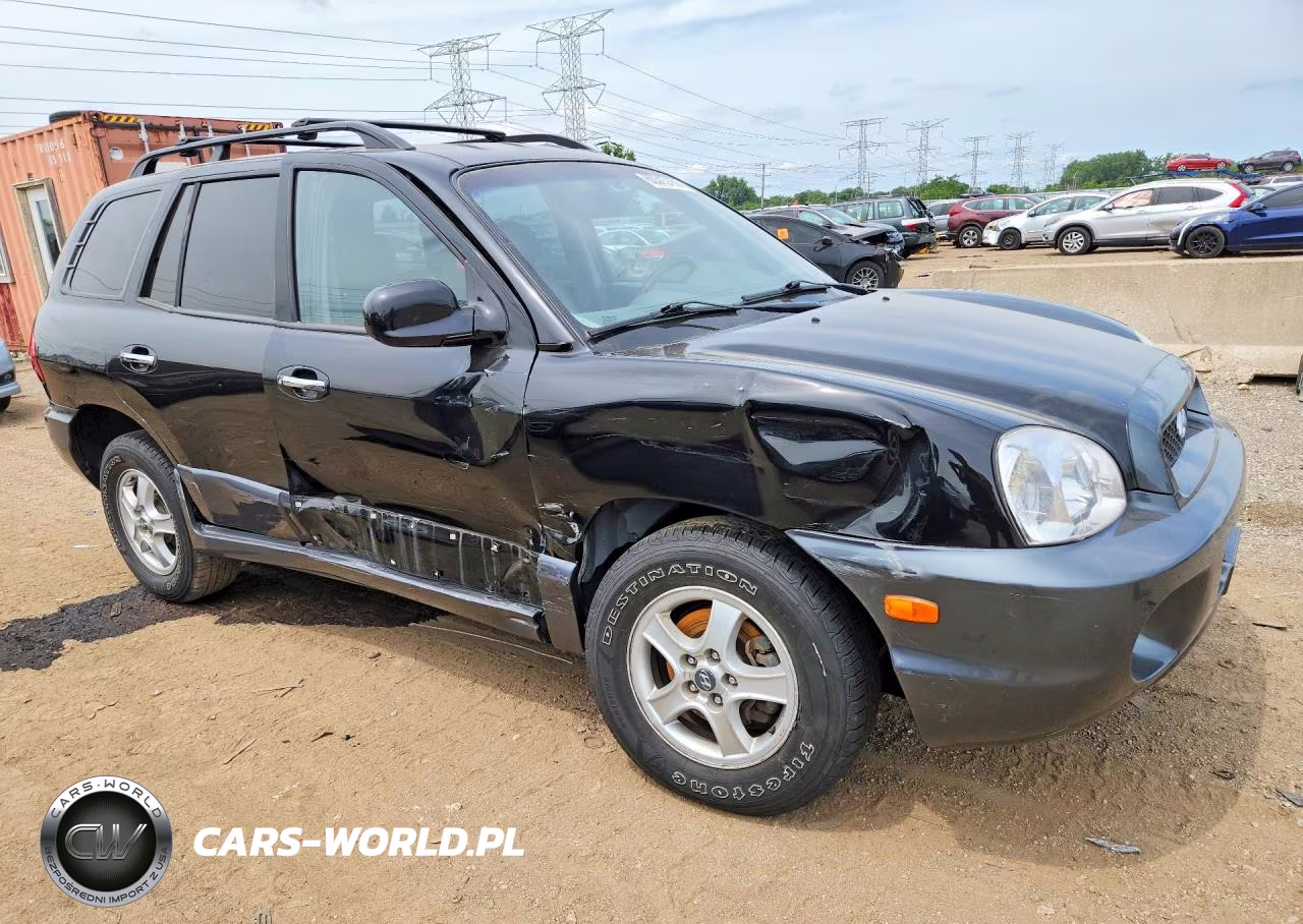 2004 Hyundai Santa Fe Gls VIN:KM8SC73E94U585879 - 4