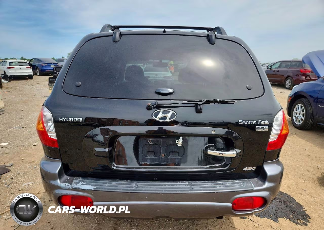 2004 Hyundai Santa Fe Gls VIN:KM8SC73E94U585879 - 6
