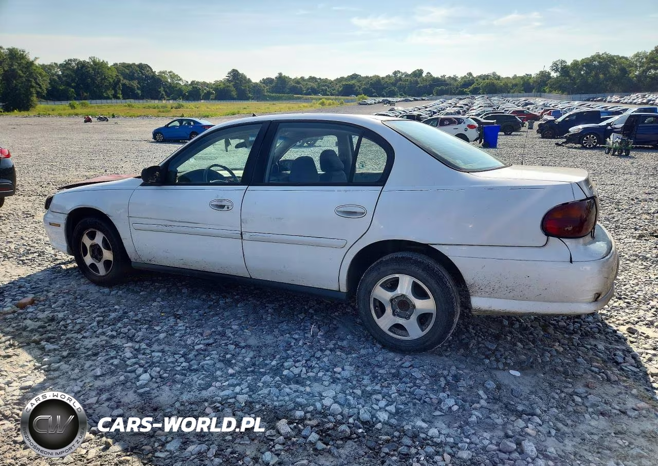 2005 Chevrolet Classic VIN:1G1ND52F65M171742 - 2