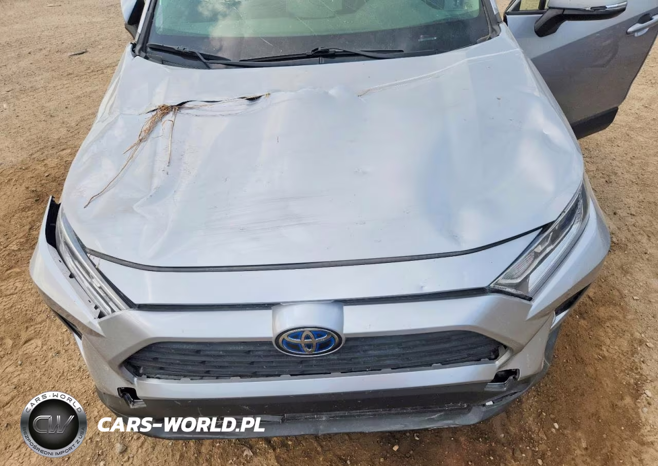 2019 Toyota Rav4 Hybrid Xle VIN:JTMRWRFV2KD007332 - 12