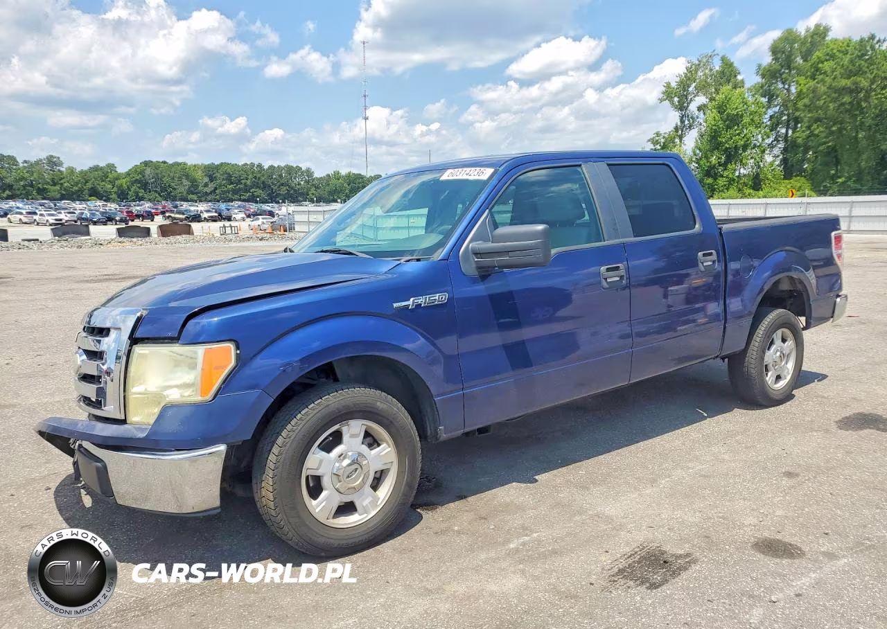 2009 Ford F 150