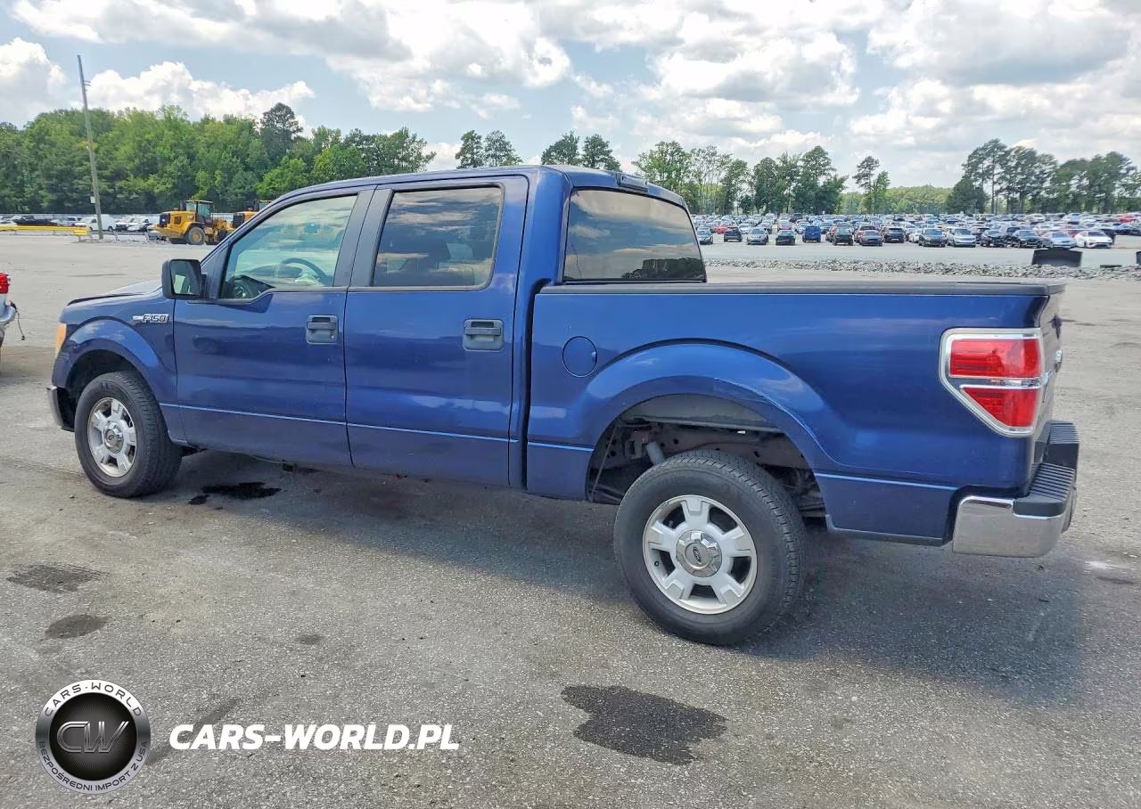 2009 Ford F 150 VIN:1FTRW12879FB39616 - 2