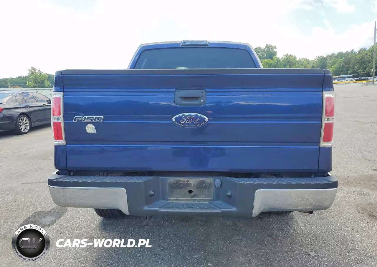2009 Ford F 150 VIN:1FTRW12879FB39616 - 6