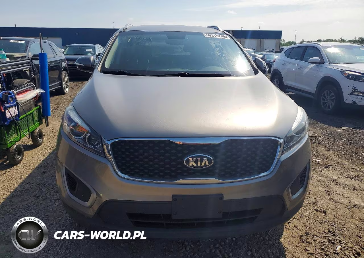 2017 Kia Sorento Lx VIN:5XYPG4A31HG253912 - 5