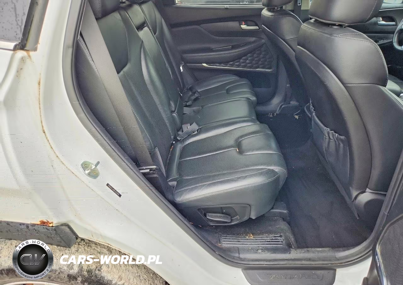 2020 Hyundai Santa Fe Sel VIN:5NMS3CAD0LH223498 - 10