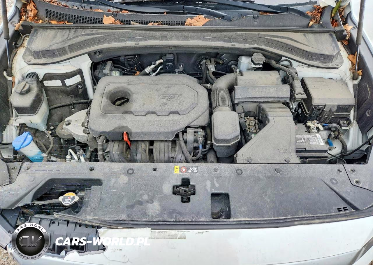 2020 Hyundai Santa Fe Sel VIN:5NMS3CAD0LH223498 - 11