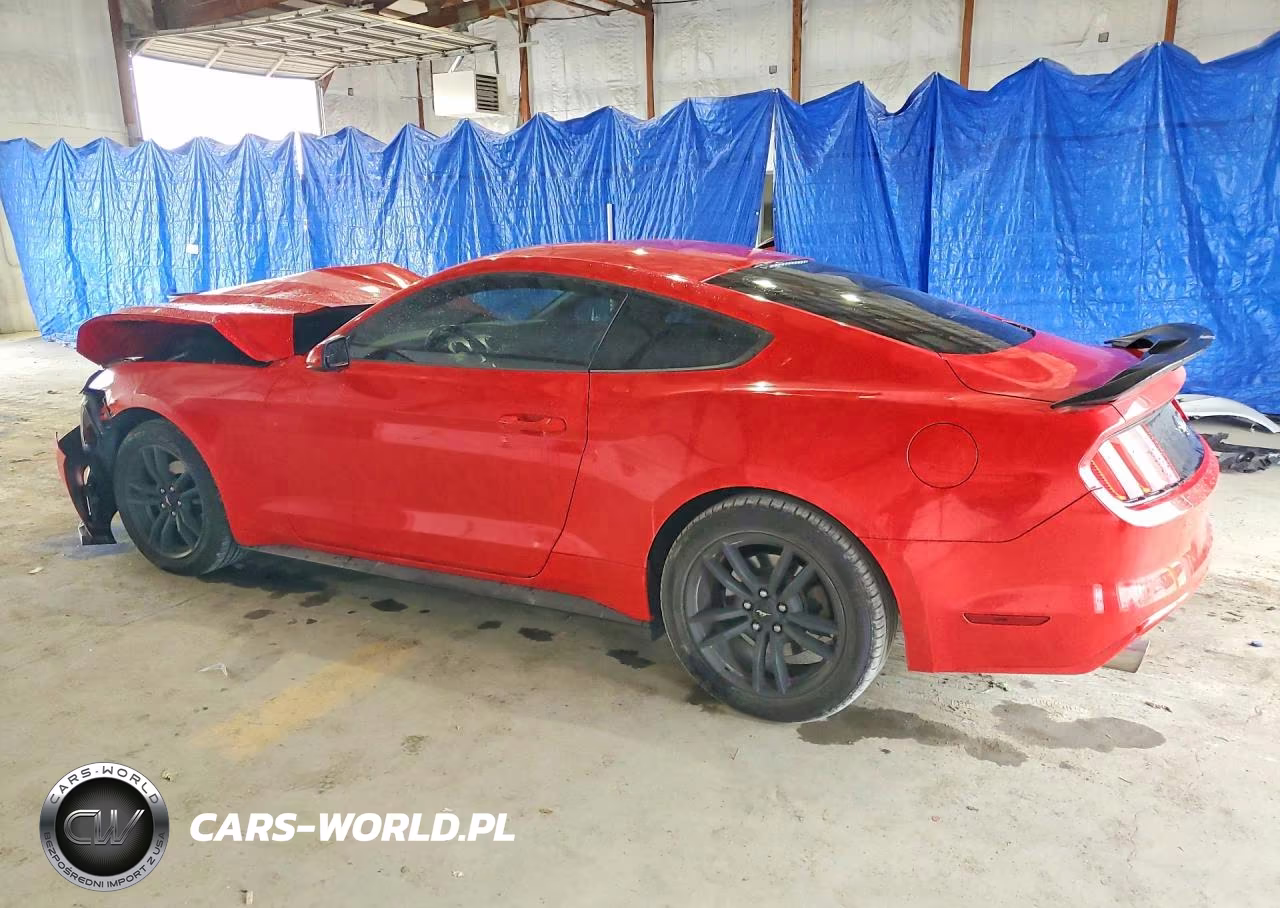 2017 Ford Mustang VIN:1FA6P8TH9H5323845 - 2