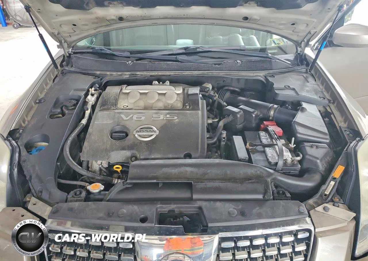 2005 Nissan Maxima 3.5 Se VIN:1N4BA41E95C832875 - 11