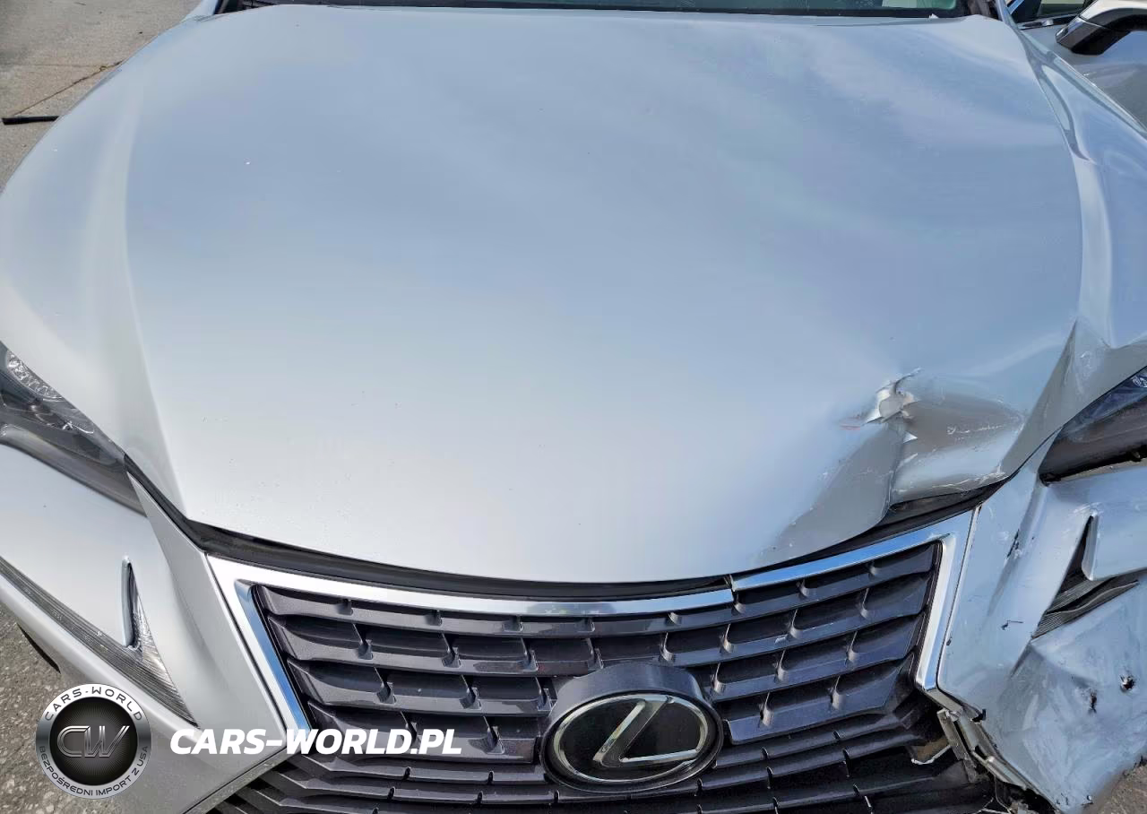 2018 Lexus Nx 300 Base VIN:JTJYARBZ6J2107752 - 11