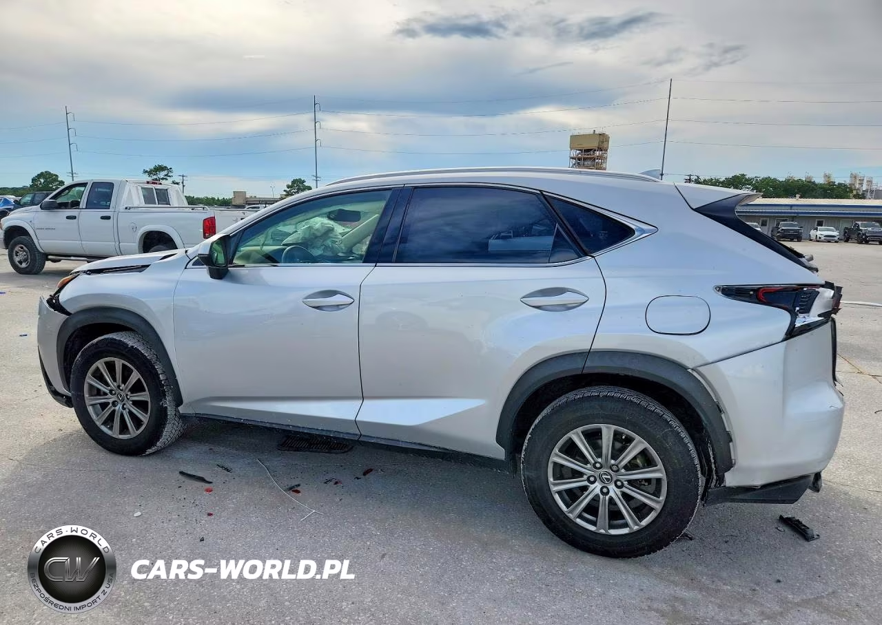 2018 Lexus Nx 300 Base VIN:JTJYARBZ6J2107752 - 2