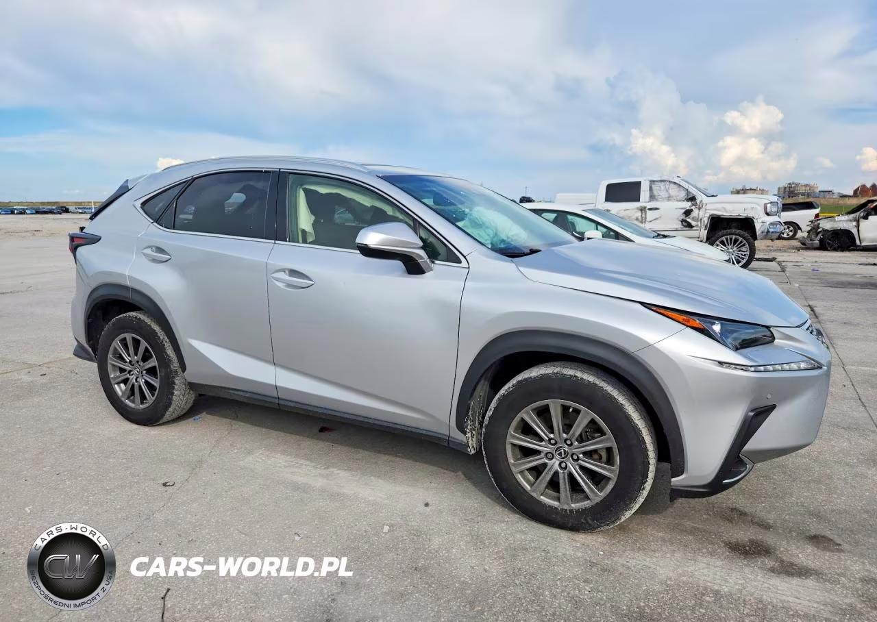 2018 Lexus Nx 300 Base VIN:JTJYARBZ6J2107752 - 4