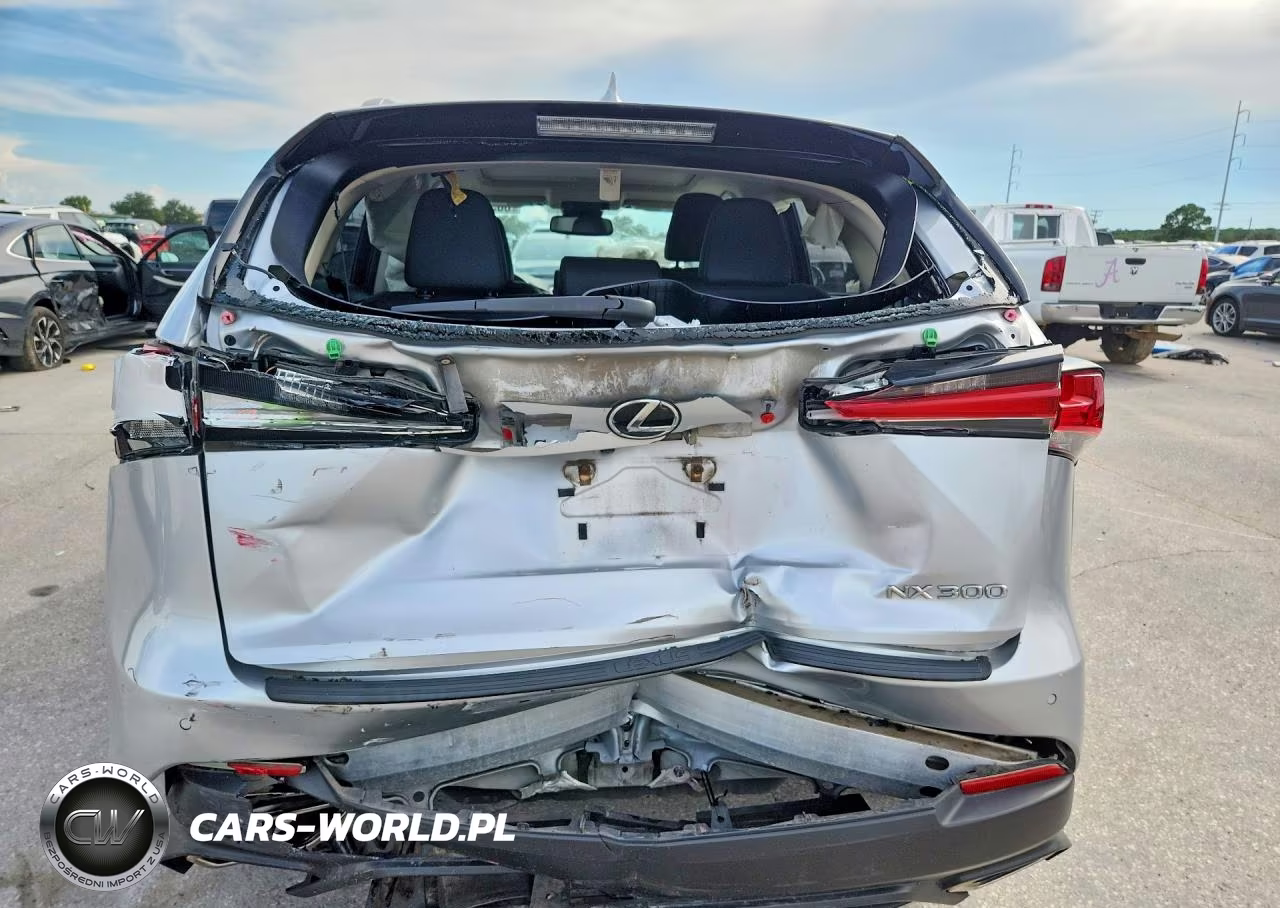 2018 Lexus Nx 300 Base VIN:JTJYARBZ6J2107752 - 6