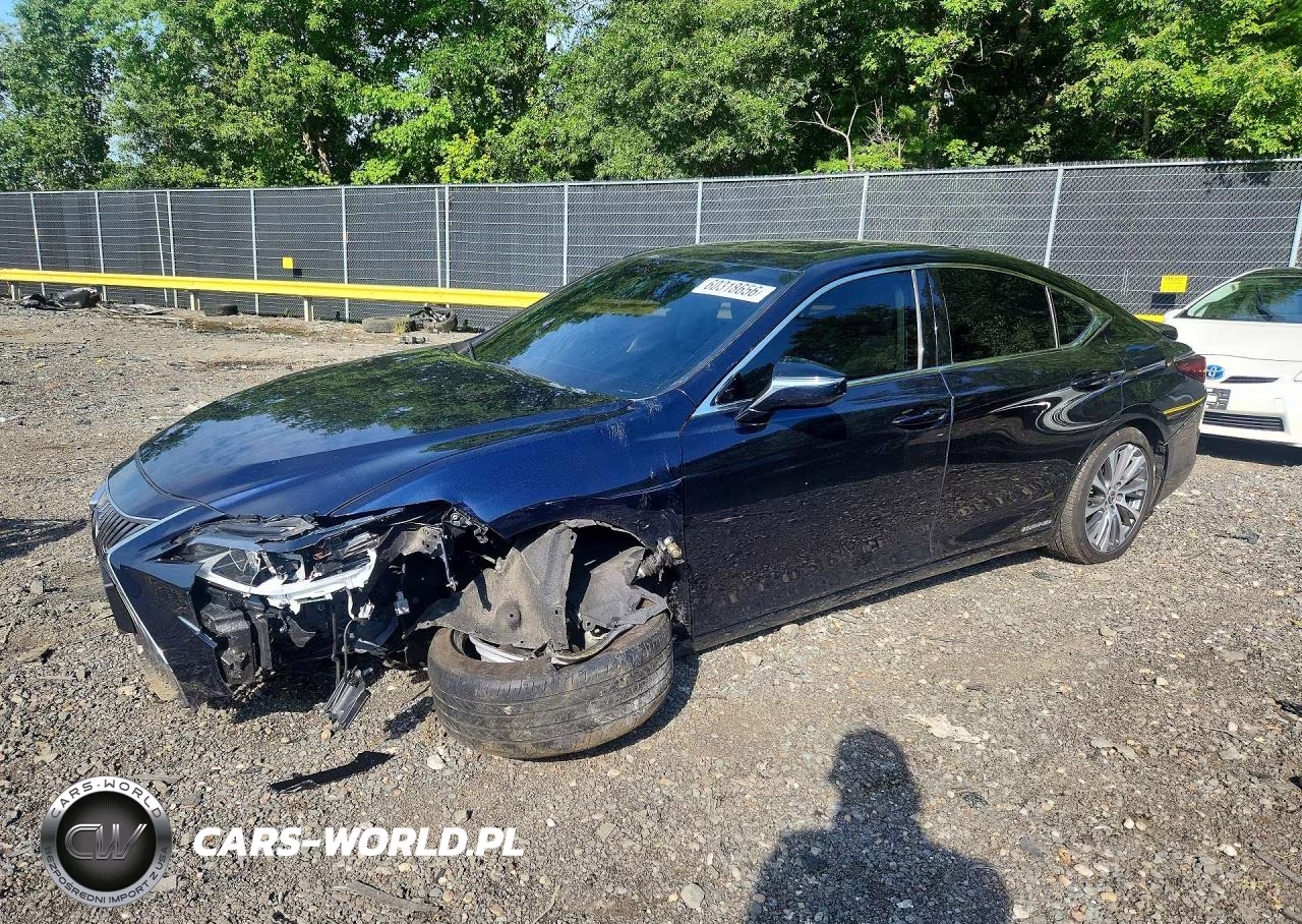 2021 Lexus Es 300H VIN:58ADA1C1XMU001541 - 1