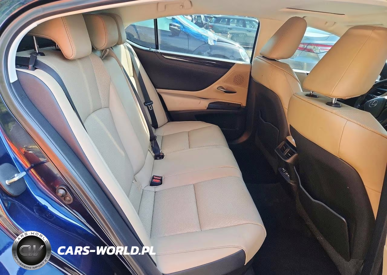 2021 Lexus Es 300H VIN:58ADA1C1XMU001541 - 10